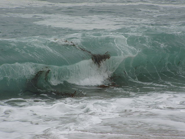 By Tewy - Own work, CC BY 2.5, https://commons.wikimedia.org/w/index.php?curid=1382659