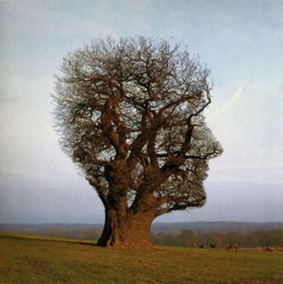 árbol del conocimiento